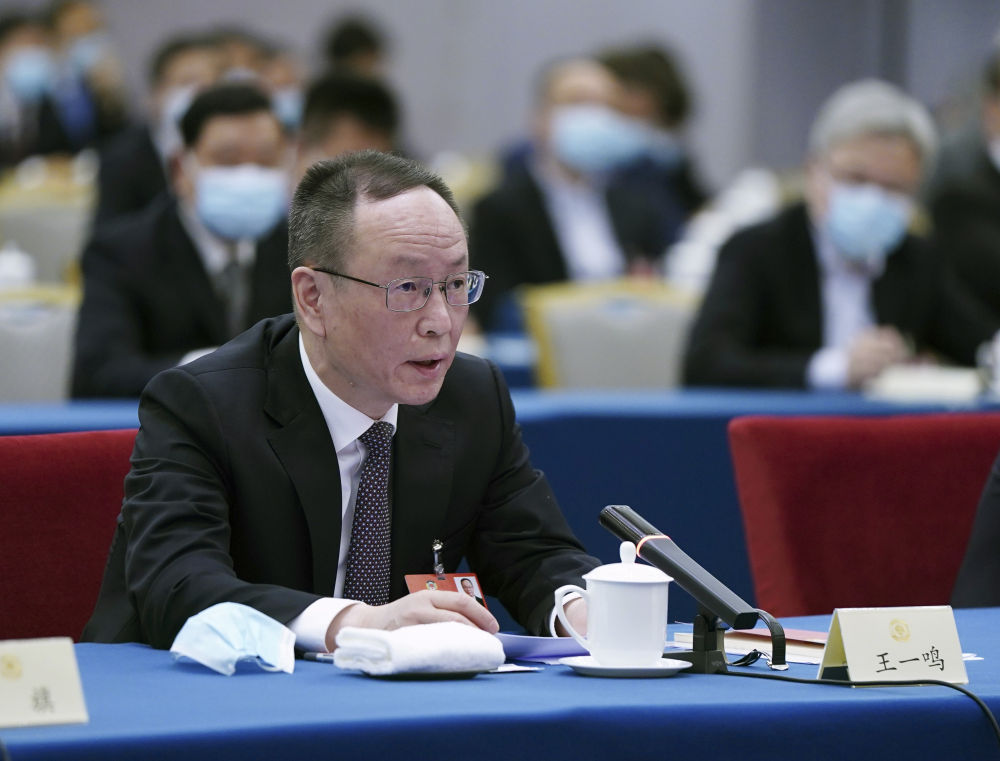 5月23日，全國政協(xié)委員王一鳴在經(jīng)濟界聯(lián)組會上發(fā)言。新華社記者　謝環(huán)馳　攝
